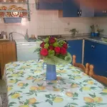 Vila Porto Pino Mimosa *
