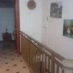 Vila Porto Pino Mimosa *