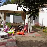 Porto Pino Mimosa
