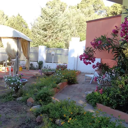 Vila Porto Pino Mimosa *