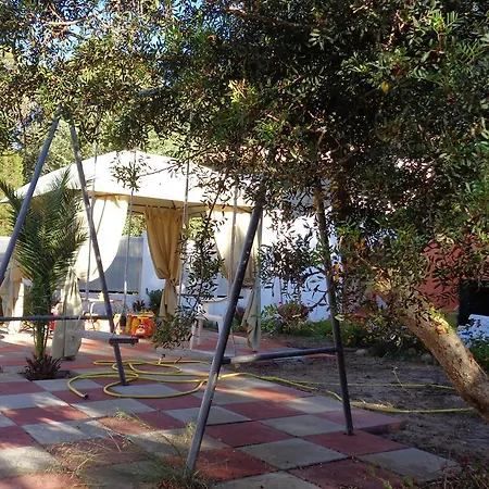 Porto Pino Mimosa * SantʼAnna Arresi