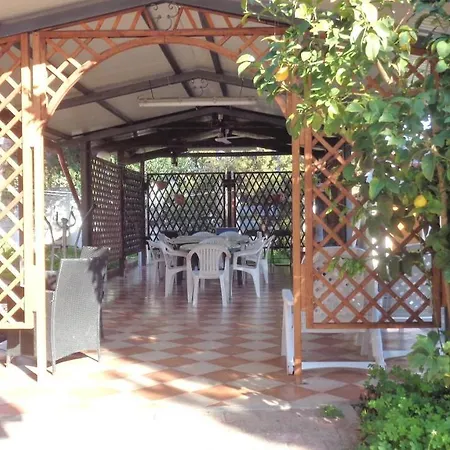 Porto Pino Mimosa
