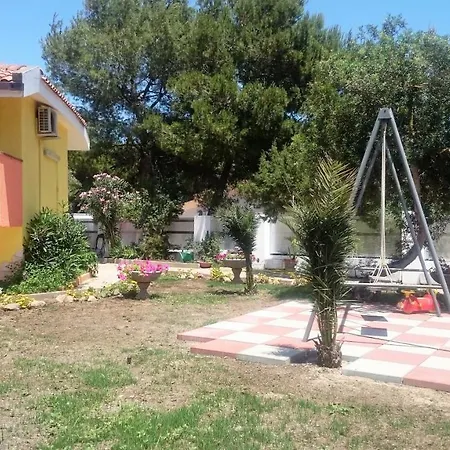 Porto Pino Mimosa