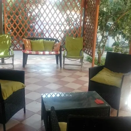 Porto Pino Mimosa