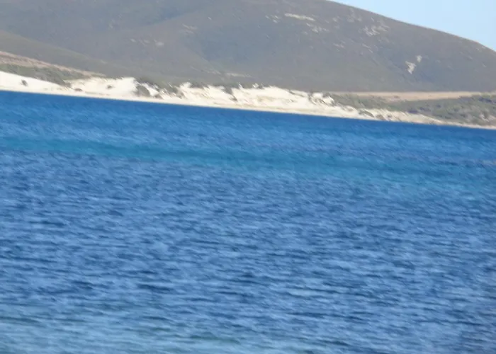 Villa Porto Pino Mimosa *